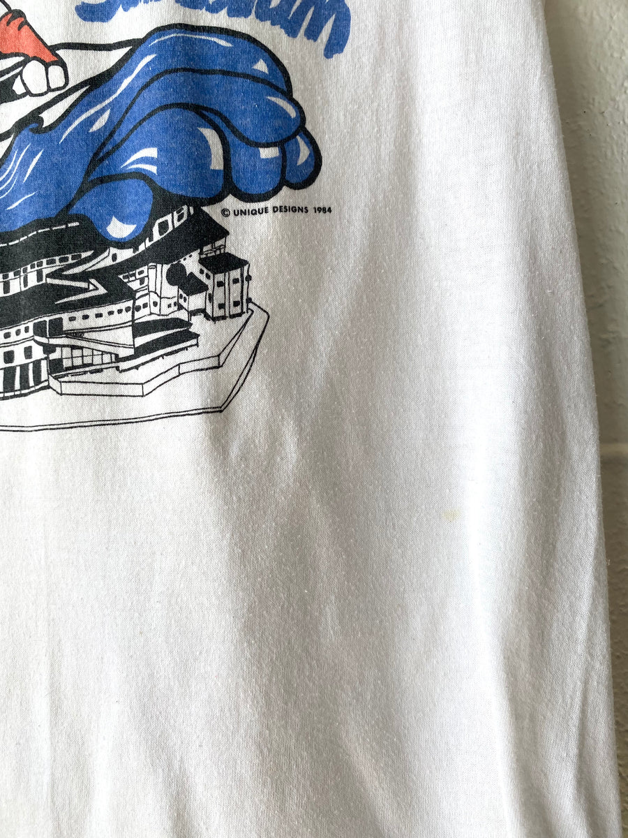 Detroit Tigers Tiger Stadium Wave T-shirt – Reware Vintage