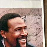 Marvin Gaye Dream of a Lifetime Poster