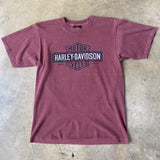 Smoky Mountain Harley Davidson T-shirt