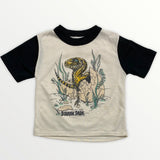 Jurassic Park T Shirt
