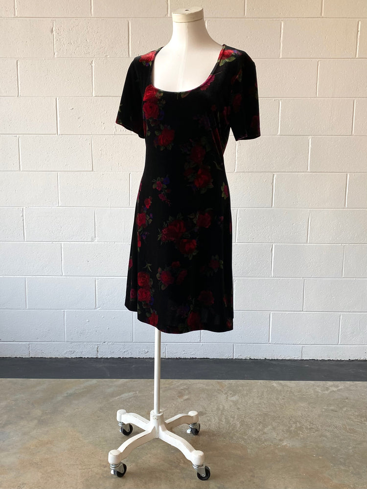 Rose Print Velvet Dress